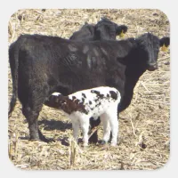 Cute Cows and Baby Calf Nursing Sticker