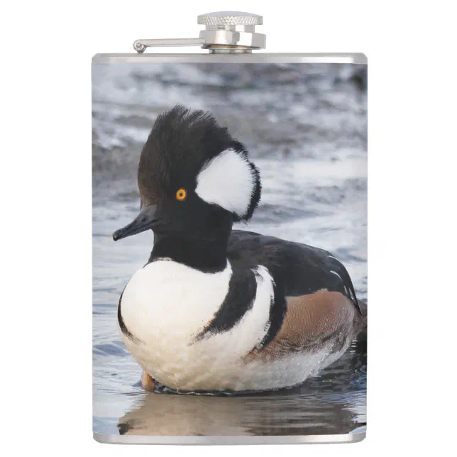 Handsome Hooded Merganser on the Move Flask