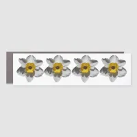 Just Daffodils | Floral Photo Car Magnet