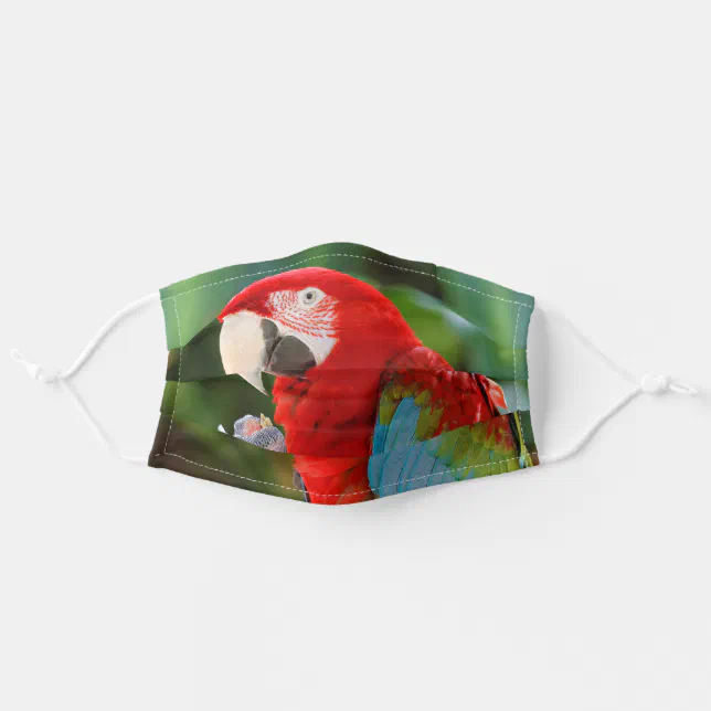 Profile of a Pretty Green-Winged Macaw Adult Cloth Face Mask
