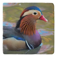 Beautiful Mandarin Duck in the Pond Trivet