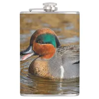 A Chatty Green-Winged Teal Duck at the Pond Flask