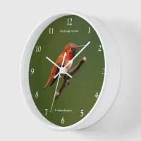 Stunning Rufous Hummingbird on the Cherry Tree Clock