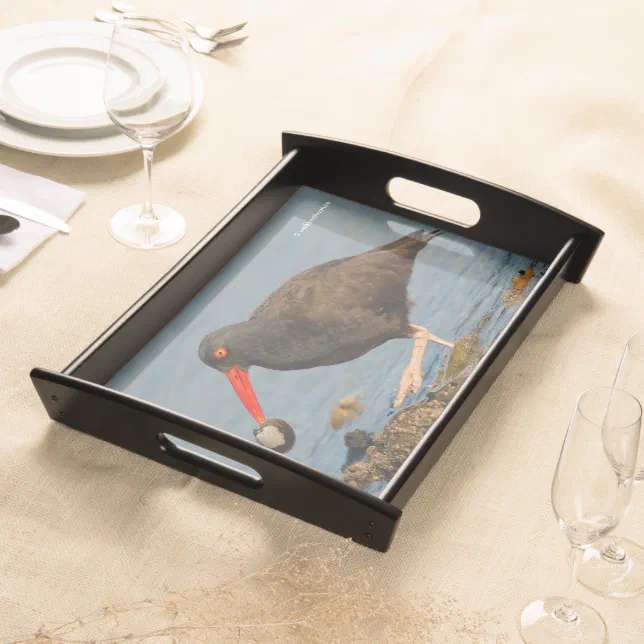 Black Oystercatcher with Clam Serving Tray