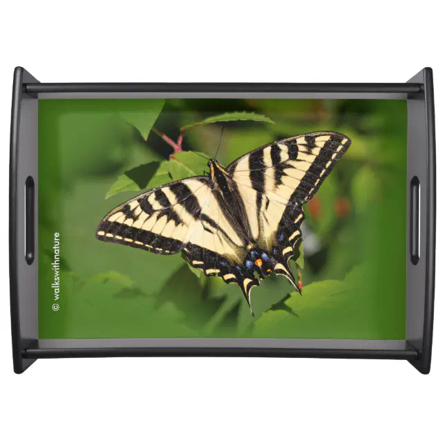 Beautiful Western Tiger Swallowtail Butterfly Serving Tray