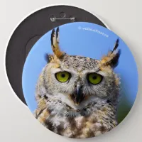 Staring Contest with a Beautiful Great Horned Owl Pinback Button
