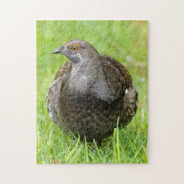 Beautiful Sooty Grouse in the Grass Jigsaw Puzzle