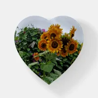 Sunflowers and Morning Glories Paperweight