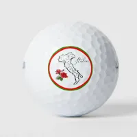 *~*  Italian Language Italia Italy Map Rose Golf Balls