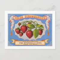 Fresh Strawberries Postcard