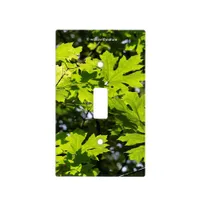 Sun-Dappled Leaves in the Forest Light Switch Cover