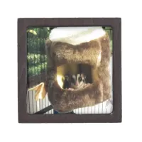 Sugar Glider in Furry Tree Truck Hanging Bed Jewelry Box