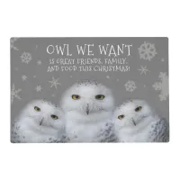 Funny Owl We Want for Christmas ... Snowy Owls Placemat