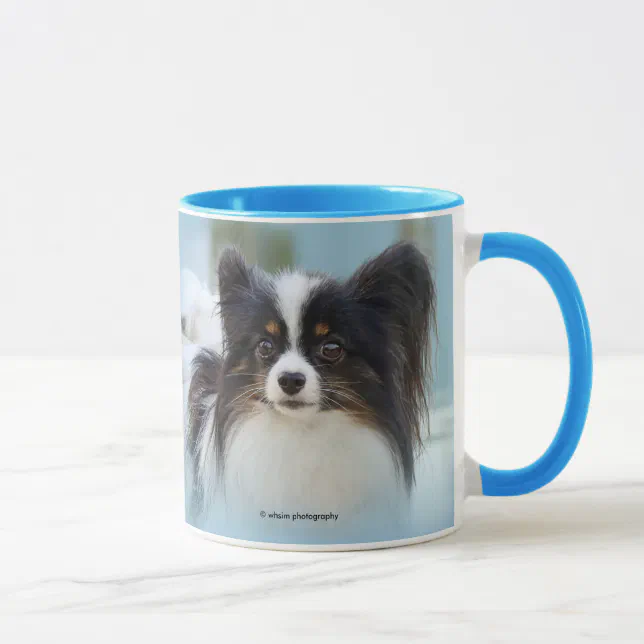 Cute Papillon Toy Spaniel Dog at the Dock Mug