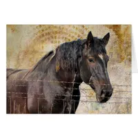 The Gentle One, A draft horse