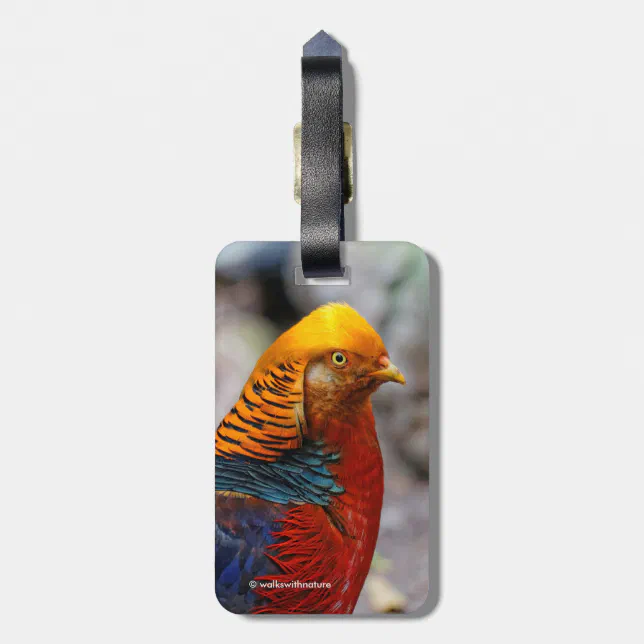 Stunning Profile of a Red Golden Pheasant Luggage Tag