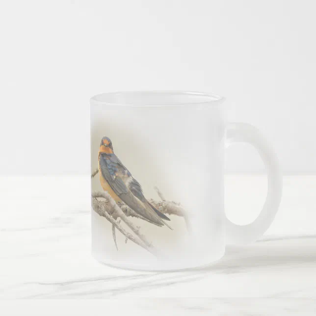 Funny Barn Swallow Songbird Stares at Me Frosted Glass Coffee Mug