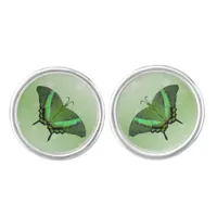 Green butterfly on light green  - romantic cufflinks