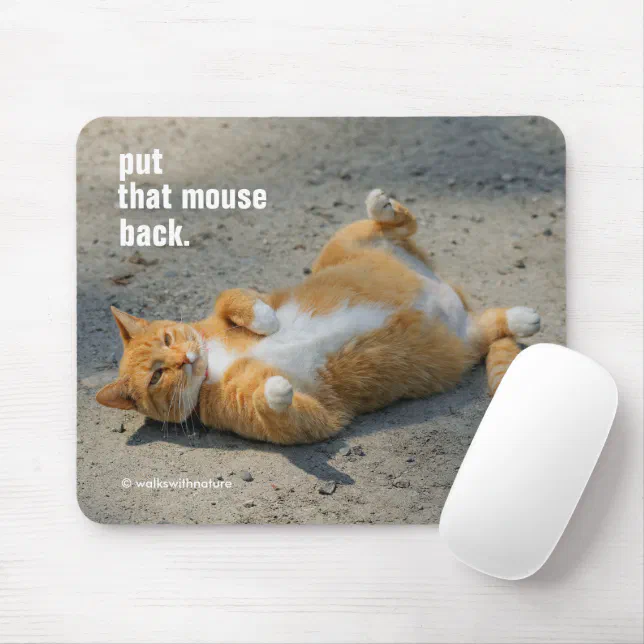 Cute Funny Shadowboxing Orange Cat in the Gravel Mouse Pad