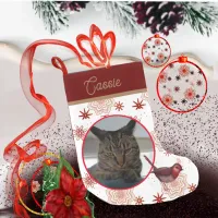 Cat christmas desing on white backround