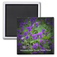Wood Violet in Spotlight Wisconsin State Flower Magnet