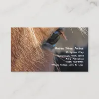 Horse Shoe Acres Business Card