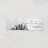 Black and White Gerber Daisy Graduate Calling Card