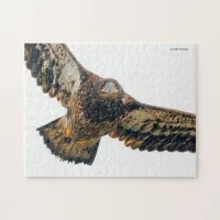Stunning Bald Eagle Does a Flyover Jigsaw Puzzle