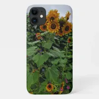 Sunflowers and Morning Glories Photography iPhone 11 Case