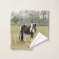 Horse love wash cloth