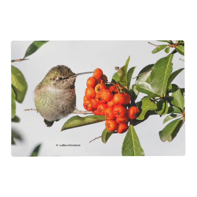 Adorable Anna's Hummingbird on Berry Bush Placemat