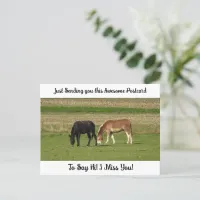 Cute Horse "I Miss YOU" Saying Hi Post Card