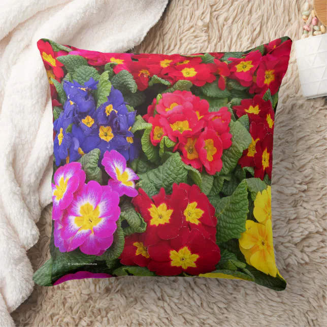 Colorful Springtime Medley of Primulas Throw Pillow