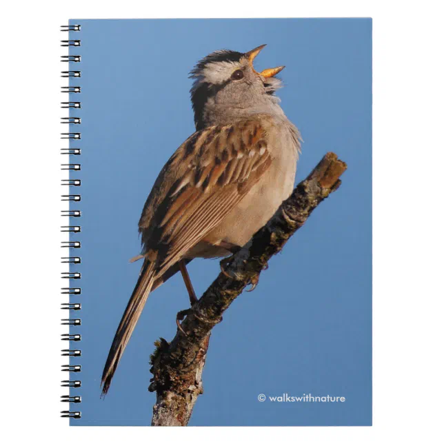 A White-Crowned Sparrow Sings to the Sun Notebook