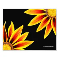 Red Orange Kiss Golden Flame Gazanias Photo Print