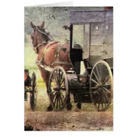 Amish Horse and Buggy