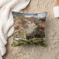 Cute Spunky Lincoln's Sparrow Songbird in Grass Throw Pillow