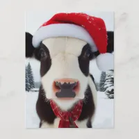 Adorable Dairy Cow in a Santa Hat Postcard