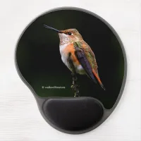 A Sweet Rufous Hummingbird Poses on the Fruit Tree Gel Mouse Pad