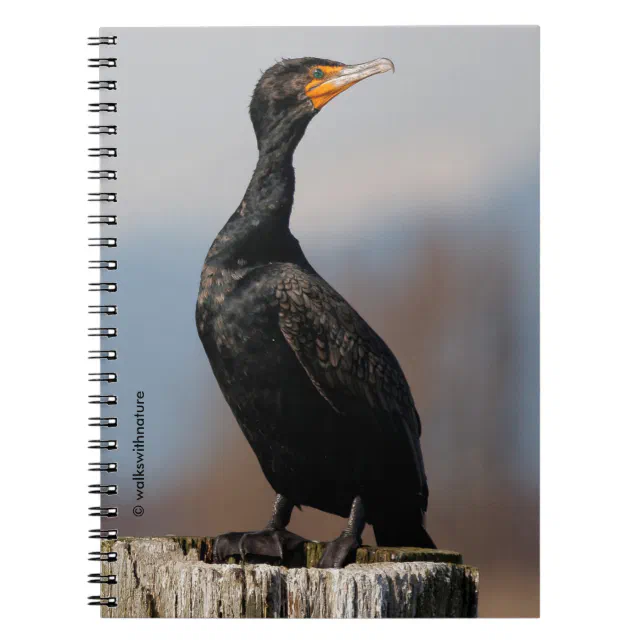 Profile of a Double-Crested Cormorant Notebook