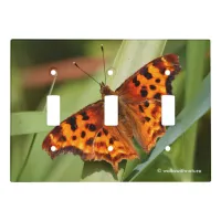 Beautiful Orange Satyr Comma Butterfly Light Switch Cover