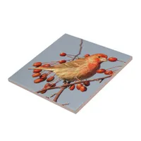 Stunning House Finch with Hawthorn Berries Ceramic Tile