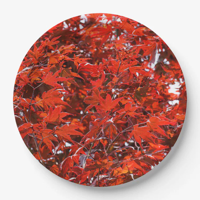 Autumn Fall Japanese Red Maple Leaves Paper Plates