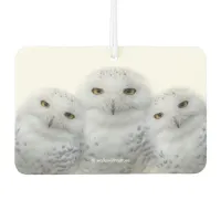 Dreamy Wisdom of Snowy Owls Air Freshener