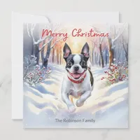 Cute Boston Terrier Dog In Winter Snow Christmas Holiday Card