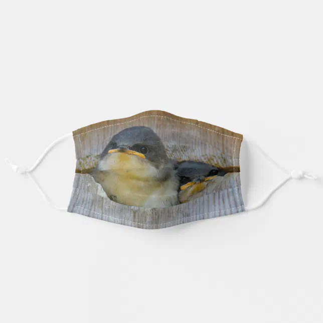 Cute Baby Tree Swallow Songbirds in Nestbox Adult Cloth Face Mask