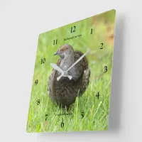 Beautiful Sooty Grouse Gamebird in the Grass Square Wall Clock