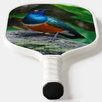 Stunning African Superb Starling Songbird Pickleball Paddle