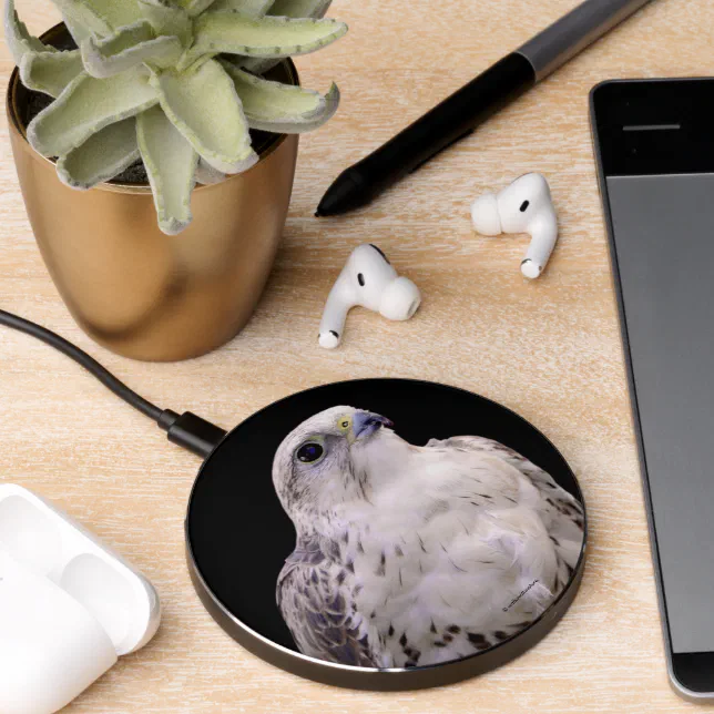Vignetted Portrait of an Inquisitive Saker Falcon Wireless Charger