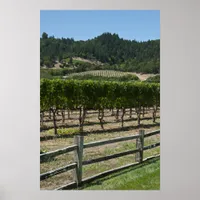 Rustic Vineyard Grape Fields Poster